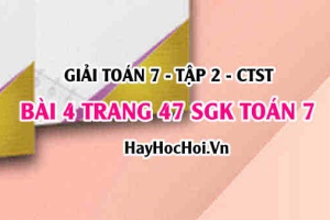 Giải bài 4 trang 47 Toán 7 tập 2 SGK Chân trời sáng tạo